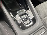 Škoda Octavia (2021) 2.0 TDi, ČR, Style, DSG. LED - náhled 16