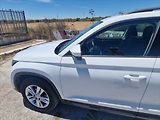 Škoda Kodiaq 2,0 TDi 110kw DSG 4x4 Executiv - náhled 1