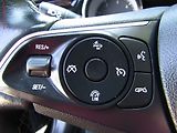 Opel Insignia (2019) 1.6 CDTi, servis.kniha, AT - náhled 13