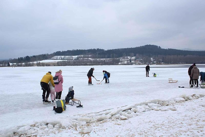 U Horní Plané se na zamrzlém Lipně vesele bruslí. Sem tam tudy ale na druhý břeh přejede i auto. Jen o pár set metrů dál přitom stále jezdí přívoz.