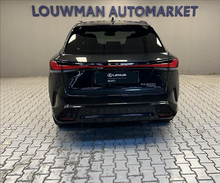 Lexus RX 500h 500H 2,4 HEV F SPORT - fotka 12 z 19