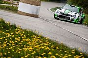 Oficiální fotogalerie z Rally Šumava a HVR 2019
