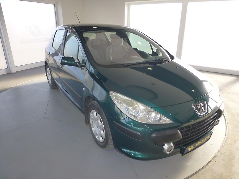 Peugeot 307 (2006) 1,6I-80KW*KLIMA**VYHŘ.SEDADLA* - fotka 3 z 24