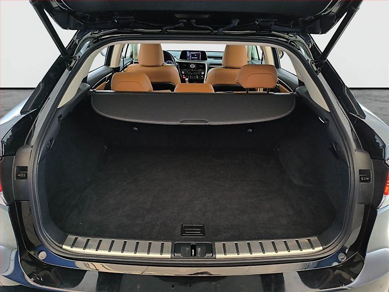 Lexus RX 400h (2022) 300 AWD - fotka 14 z 23