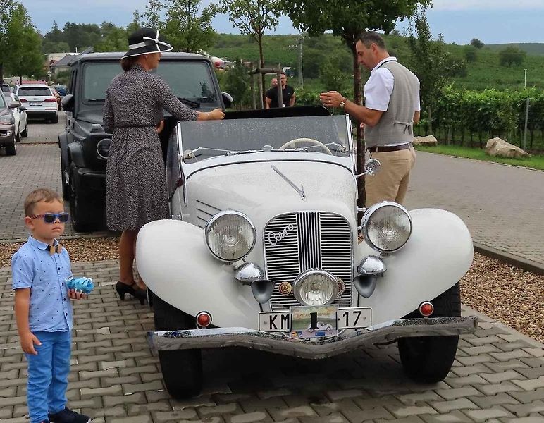Pálavský Oldtimer přilákal na Břeclavsko desítky elegantnch veteránů.