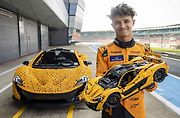 Replika McLarenu P1 v reálné velikosti se skládá z 342 817 dílků, váží přibližně 1220 kilogramů.