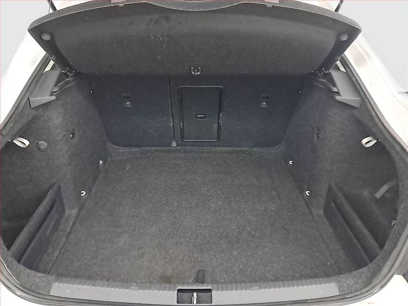 Škoda Octavia (2016) 2.0 TDI 4x4, 4X4, Tempomat - fotka 13 z 19