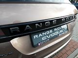 Land Rover Range Rover Evoque (2026) S D165 AWD automat    - náhled 39