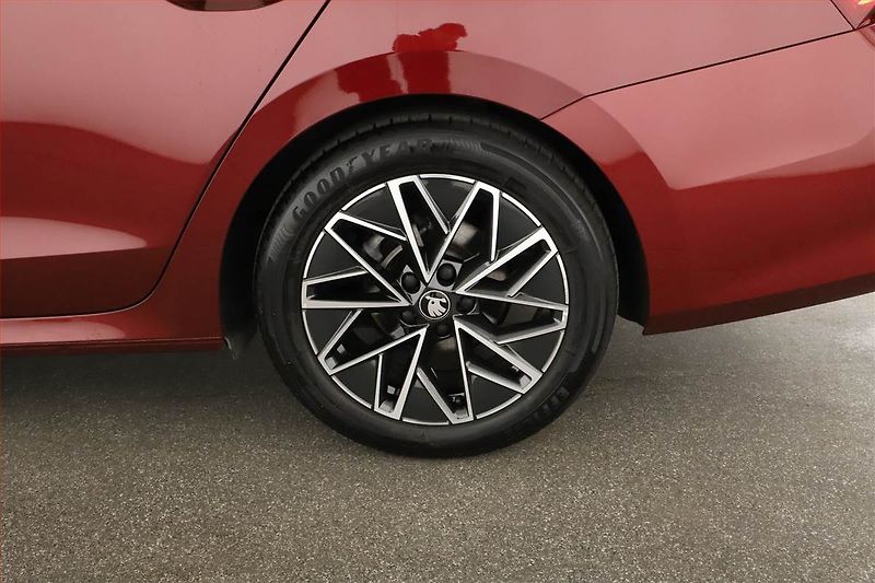 Škoda Octavia (2025) Sportline 2.0 TDI - fotka 18 z 18