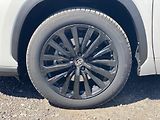Toyota Highlander 2.5HEV, ČR, Executive Sky, DPH - náhled 10
