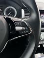 Škoda Kodiaq 1.5TSI 110kW LED, Kůže,TZ, DPH - náhled 10