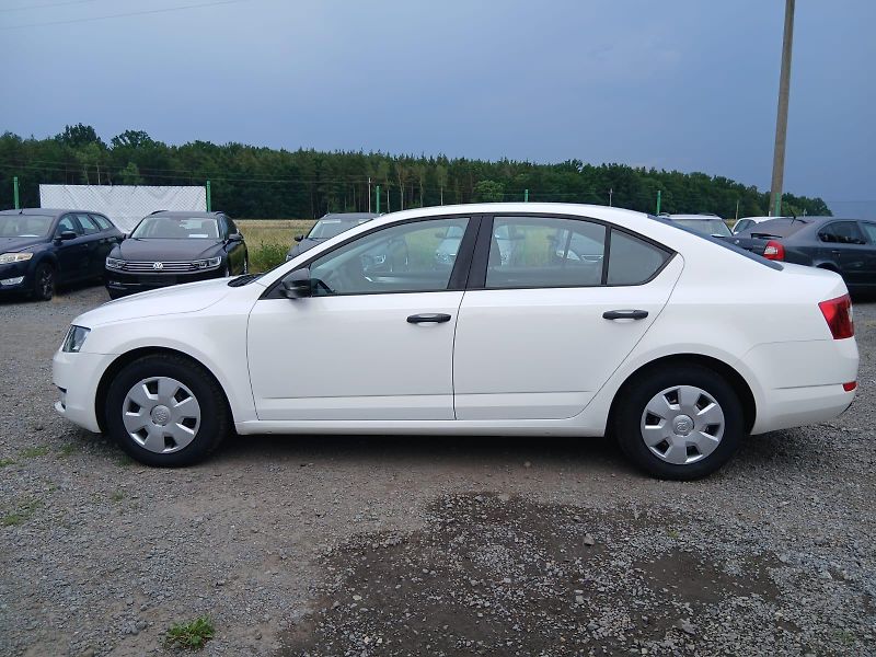 Škoda Octavia 1.6 TDI, bez koroze - fotka 20 z 39
