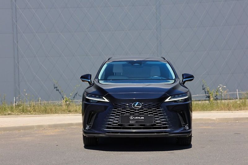 Lexus RX 450h plus 450H 2,5 PHEV LUXURY - fotka 3 z 29