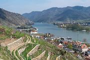 Víno se v údolí Wachau pěstuje na terasách.