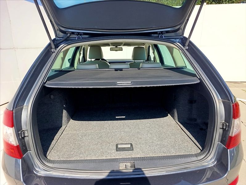 Škoda Octavia 1,6 TDi 4x4 Navi,Kůže,Aut.klim - fotka 9 z 36