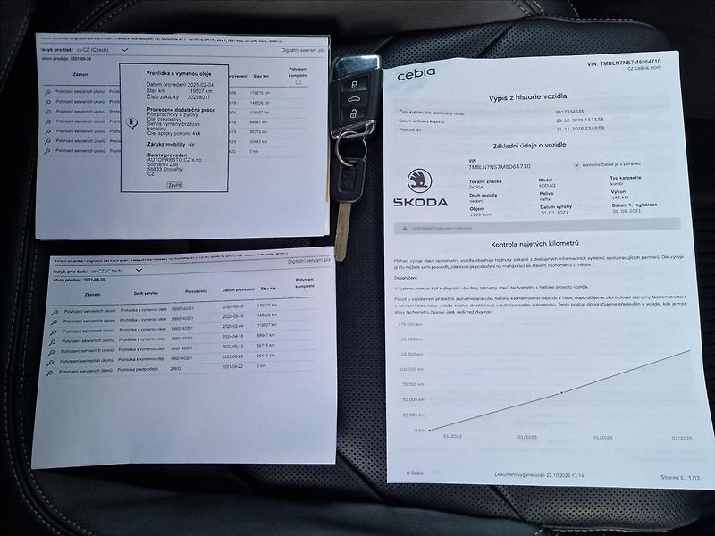 Škoda Kodiaq 2.0TDI 147kW DSG 4x4 Style - fotka 47 z 50