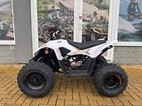 Linhai (2026) ATV 110 - náhled 1