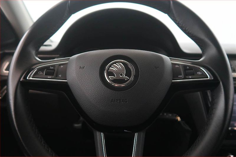 Škoda Rapid (2019) Ambition Plus 1.0 TSI - fotka 15 z 16
