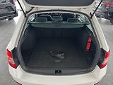 Škoda Octavia (2020) 2,0TDi DSG 4x4 NAVIGACE TAŽNÉ - náhled 18