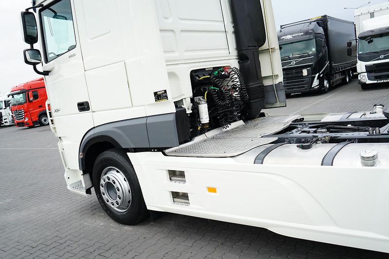 DAF XF (2021) 106 / 480 / EURO 6 / ACC / SPA - fotka 24 z 49