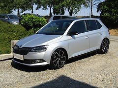 Škoda Fabia (2020) 1.0TSI 81kW MONTE CARLO ACC - fotografie inzerátu