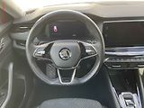 Škoda Octavia (2023) 2.0 TDi, ČR, Style, DSG - náhled 11