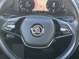 Škoda Superb (2023) L&K 2.0TDi 4x4 147kW 7°automat - náhled 19