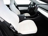 Tesla Model 3 (2020) Std Range Plus 52kWh, SoH 84% - náhled 7