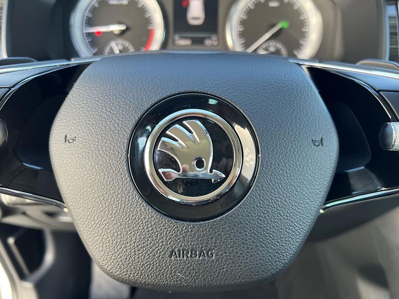 Škoda Kodiaq (2020) STYLE 4x4 DSG - fotka 21 z 48