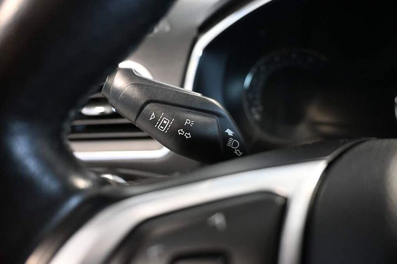 Ford S-MAX (2019) 2.0 TITANIUM LED Kamera ECOBLU - fotka 20 z 35