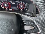 Škoda Kodiaq DSG 4M 2,0 TDi 176 kW RS - náhled 20