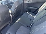 Kia Sportage (2024) 1.6 T-GDI MHEV 4x4 AT Exclusiv - náhled 8