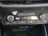 Škoda Fabia 1,0 TSi DSG Edice 130let DPH - náhled 29