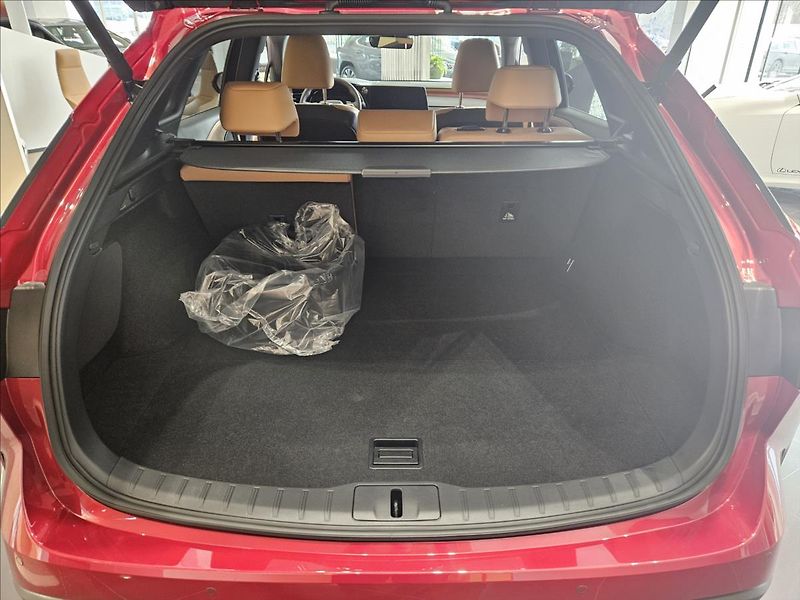 Lexus RX 450h (2025) 2,5 Executive Plus  PHEV - fotka 6 z 11