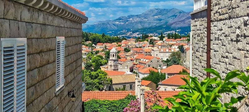 Cavtat má nádherné nábřeží lemované palmami. Říká se, že to tu vypadá jako v Saint Tropez.