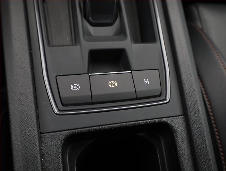 Cupra Formentor (2022) 2.0 TSI VZ 4Drive - fotka 16 z 19