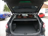 Škoda Kodiaq 2,0 TDI 142kW Excl. Selection - náhled 16