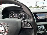 Škoda Karoq (2018) 1.5 TSI, LED, navi - náhled 19
