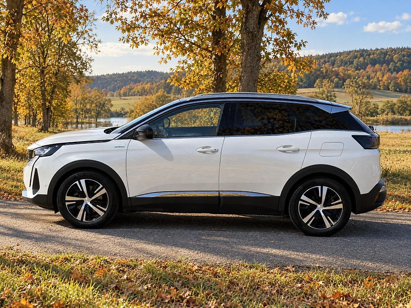 Peugeot 3008 GT 1,6 PureTech 133kW Automat - fotka 4 z 32