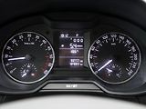 Škoda Octavia 1,6 TDi 81kW DSG Klima CZ - náhled 14
