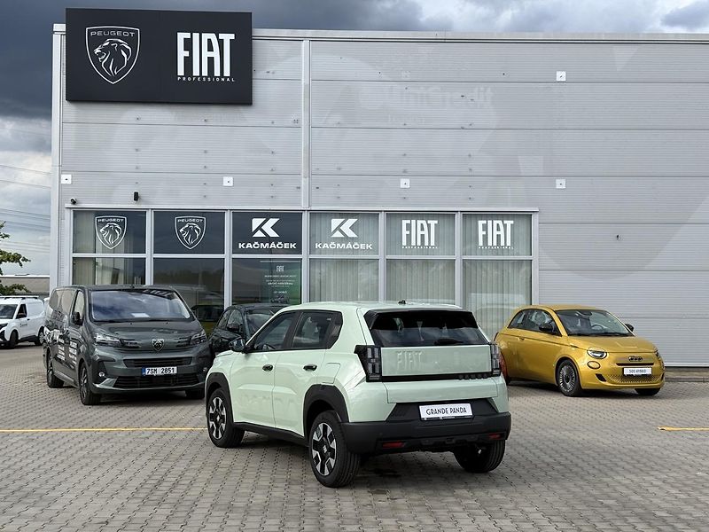 Fiat Grande Panda (2026) Icon 1.2 Turbo 100k - fotka 3 z 24