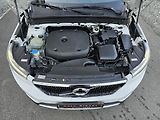 Volvo XC40 - náhled 43