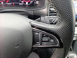 Škoda Kodiaq 2,0 TDi DSG 4x4 Kamera Tažné - náhled 30