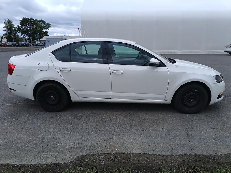 Škoda Octavia III 2.0 TDI - fotka 7 z 42