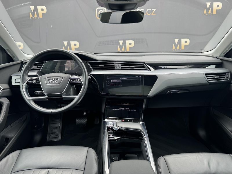Audi e-tron (2020) Quattro 230kW Advanced, PANO - fotka 14 z 54