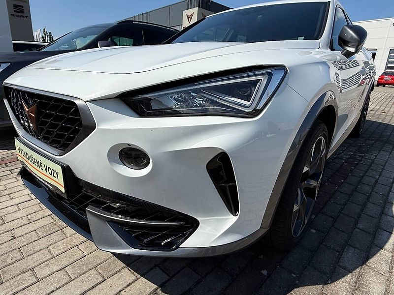 Cupra Formentor (2022) 1.5 TSI 110 kW DSG - fotka 22 z 23