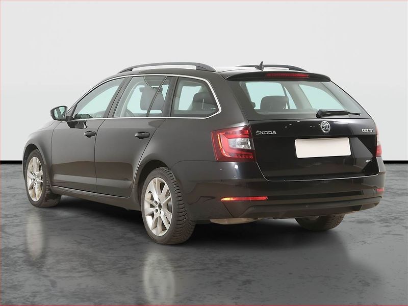 Škoda Octavia (2019) Style Plus 2.0 TSI, 4X4 - fotka 4 z 16