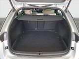 Škoda Octavia (2020) 2.0 TDI, Automat, Navi - náhled 14