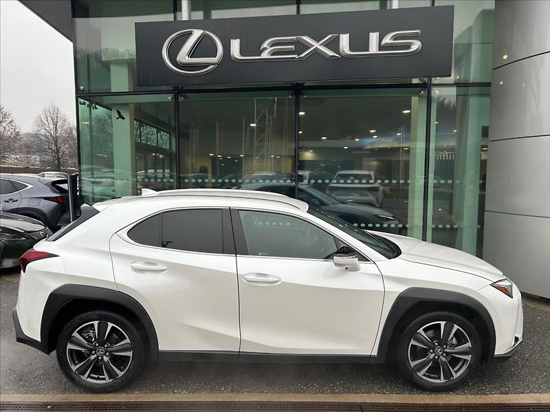 Lexus UX 300h (2024) 2.0   Prestige Plus - fotka 7 z 11