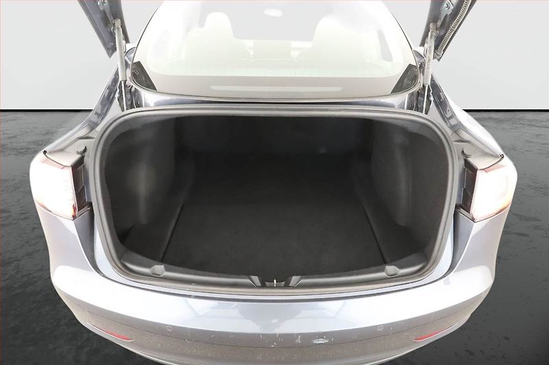 Tesla Model 3 (2020) Std Range Plus 52kWh, SoH 81% - fotka 10 z 17